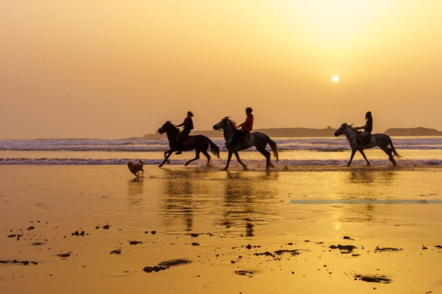 Horse riding in Essaouira